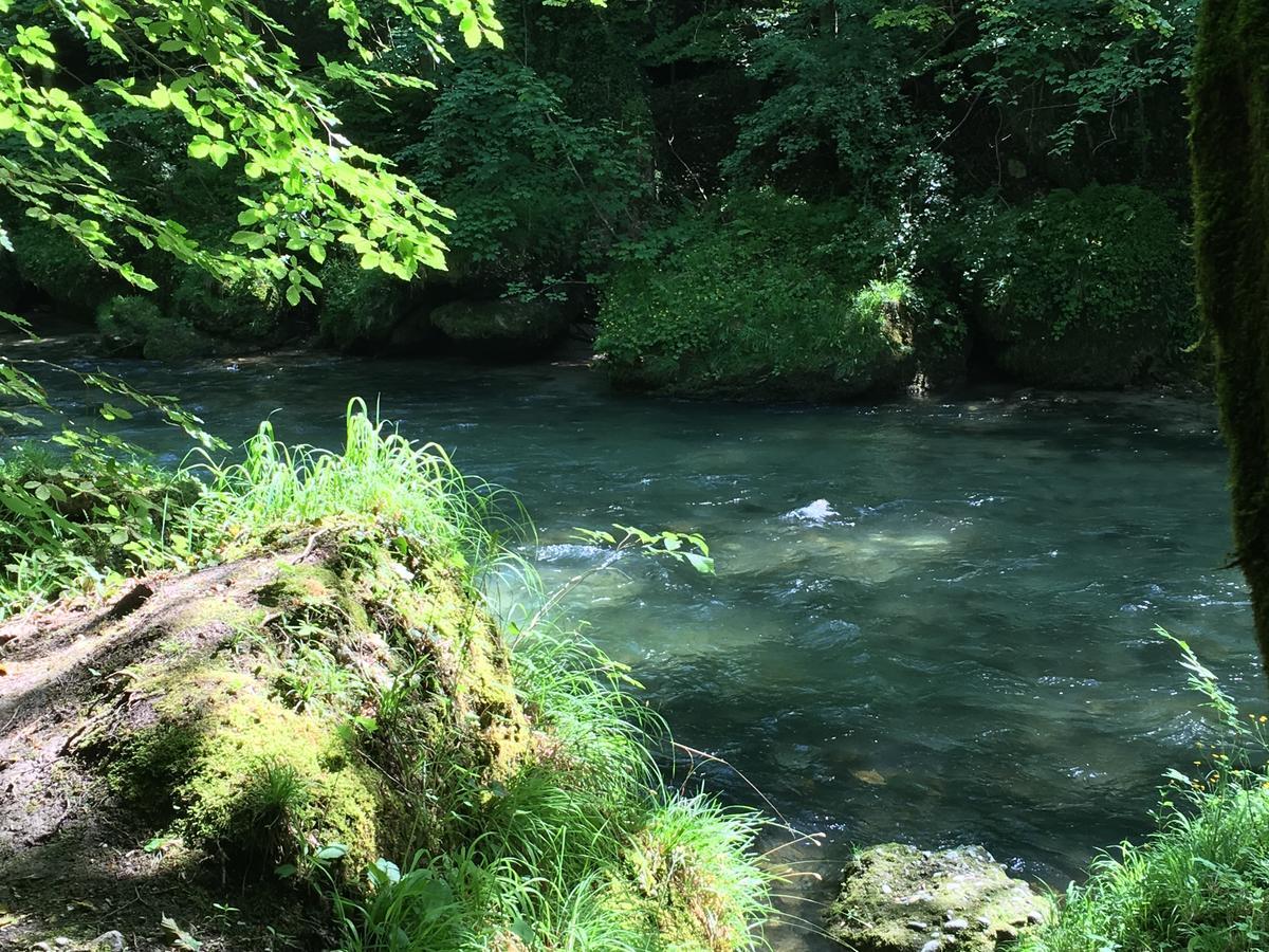 Gasthof Teufl Purgstall an der Erlauf Kültér fotó